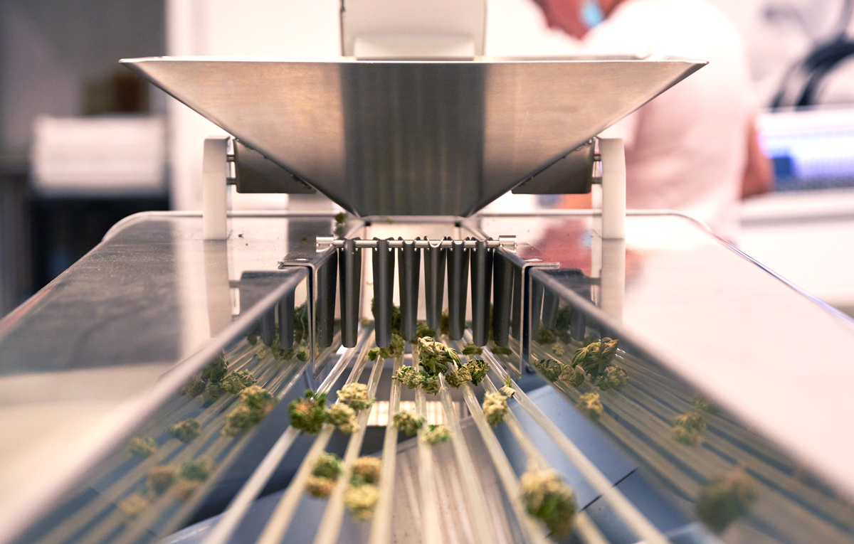 Optimize Your Cannabis Harvest with a Bud Sorter